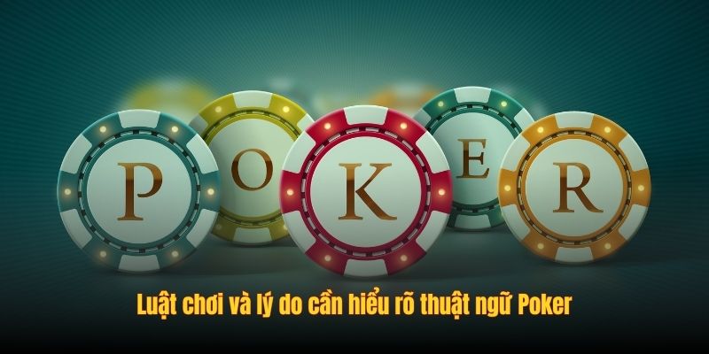                                           Các Chiến Lược Và Mẹo Chơi 